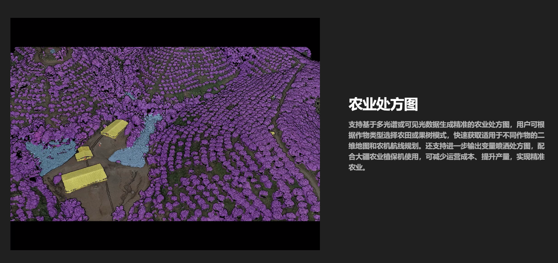 uploaded image